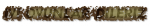 coollogo_com-78546298.png