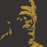 hll53