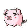 sowoojoo