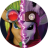metamir