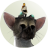 Sekology