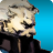 IroquoisPliskin72